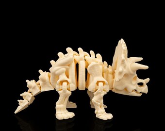 Szkieletowy Triceratops – Trzy rogi, gotowy do walki!