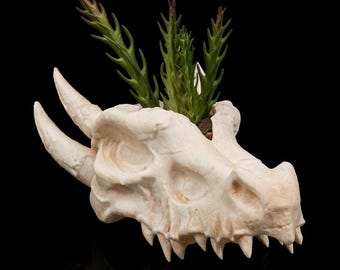 Deathroot – Dragon Skull Planter | Grow from the Bones of Legends
