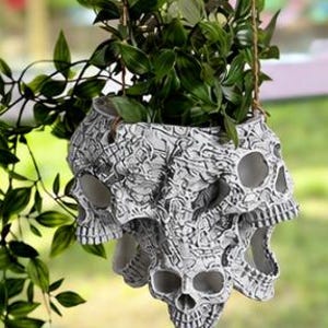 May include: A hanging planter featuring a cluster of white and grey skulls with intricate, dark, etched detailing. The planter is suspended by thin brown cords and contains a lush green plant with pointed leaves that spills over the edges.
