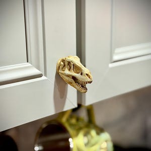 May include: A cabinet knob shaped like a fossilized dinosaur skull with an off-white, textured bone finish. The skull features detailed eye sockets, nasal cavities, and a jaw with visible teeth, mounted onto a light gray cabinet door panel.