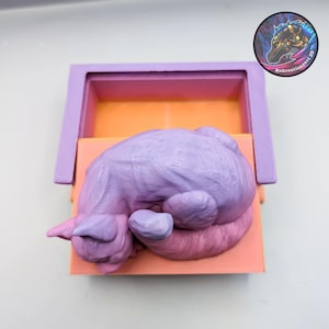 May include: A 3D-printed sculpture of a sleeping cat in a box. The cat is a gradient of purple and pink, curled up in a box with a lavender frame and orange interior. The sculpture is a unique piece of art.