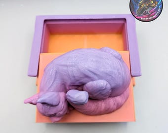 Cat Book Box – A Cozy Hideaway for Your Little Treasures