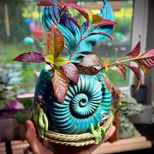 May include: A teal and blue planter shaped like an ammonite shell with a mermaid tail fin extending from the top. The base is wrapped in a rope-like texture with small green coral accents. A plant with dark reddish-purple leaves grows inside.