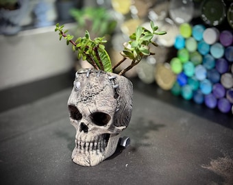 Frankenstein Skull Planter – 3D Printed, Customizable Colors