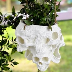 May include: A white hanging planter featuring a cluster of sculpted skulls with hollow eye sockets and nasal cavities. The planter is suspended by thin brown twine and contains a green leafy plant with long, trailing stems and pointed leaves.