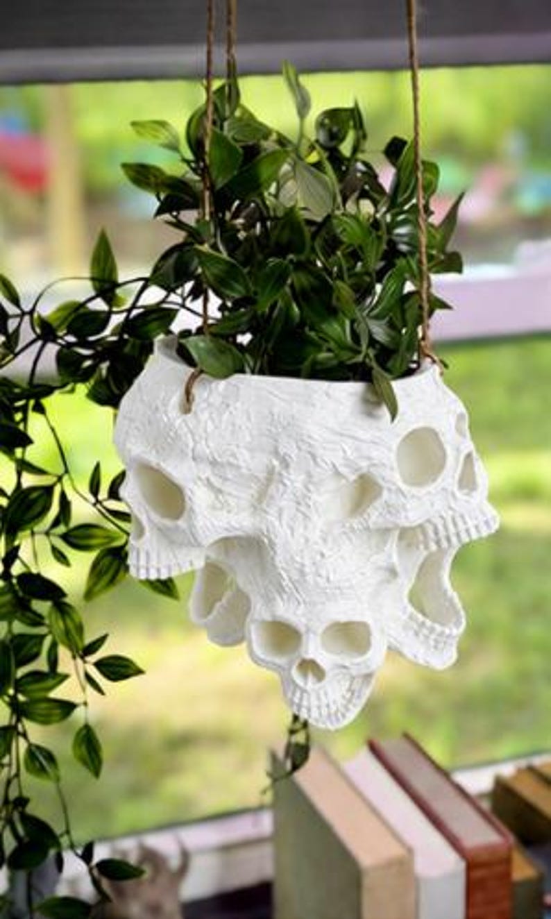 May include: A white hanging planter featuring a cluster of sculpted skulls with hollow eye sockets and nasal cavities. The planter is suspended by thin brown twine and contains a green leafy plant with long, trailing stems and pointed leaves.