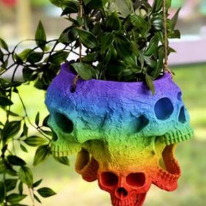 May include: A hanging planter shaped like a cluster of skulls with a vibrant rainbow gradient finish, transitioning from purple at the top to red at the bottom. The planter contains a green leafy plant and is suspended by thin brown twine cords.