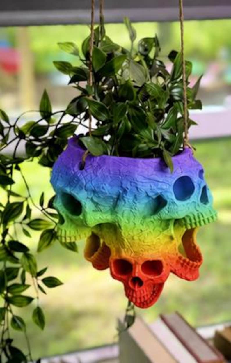 May include: A hanging planter shaped like a cluster of skulls with a vibrant rainbow gradient finish, transitioning from purple at the top to red at the bottom. The planter contains a green leafy plant and is suspended by thin brown twine cords.