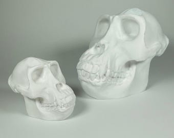 Gorilla Skull *gift*