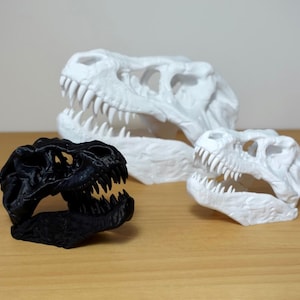 T-Rex Skull