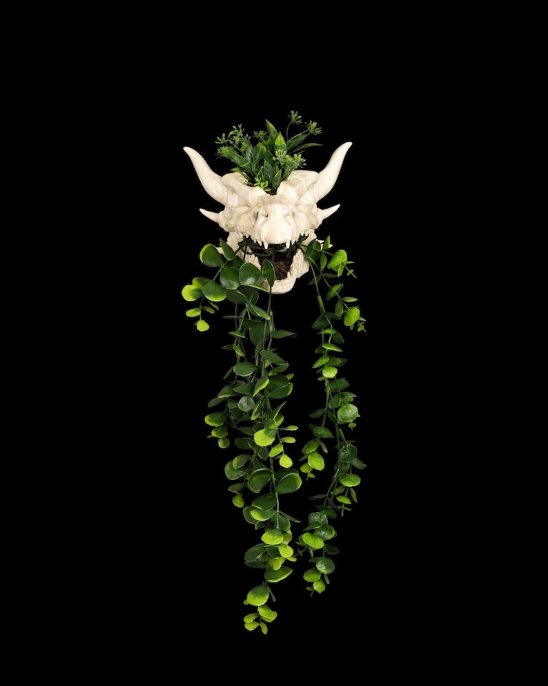Puede incluir: Una maceta blanca con forma de calavera con cuernos y follaje verde. La maceta tiene una superficie detallada y texturizada y est&aacute; llena de varias plantas verdes, incluyendo eucalipto colgante. El fondo es negro s&oacute;lido.