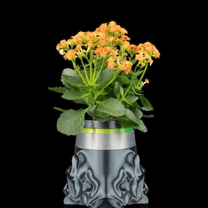 May include: A small potted plant with vibrant orange flowers and green leaves. The plant is in a gray, decorative pot with a unique, textured design. The pot has a silver and green band near the top. The background is black.