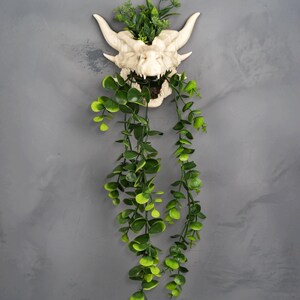 Puede incluir: Un macetero de pared con forma de cabeza de drag&oacute;n color crema con follaje verde. La cabeza del drag&oacute;n tiene cuernos y una cara detallada, con vegetaci&oacute;n que sale de su boca. Las plantas colgantes a&ntilde;aden un toque natural.