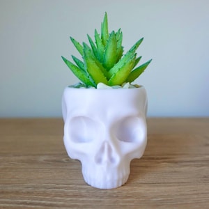 Umarme die Dunklen Künste mit unserem 3D-gedruckten Schädel-Blumentopf!