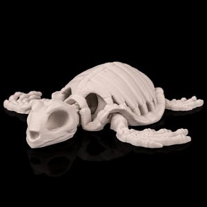 May include: An off-white turtle skeleton model. The figurine depicts the skeletal structure of a turtle, including the skull, ribs, and limbs. The model is set against a black background, highlighting its intricate design.
