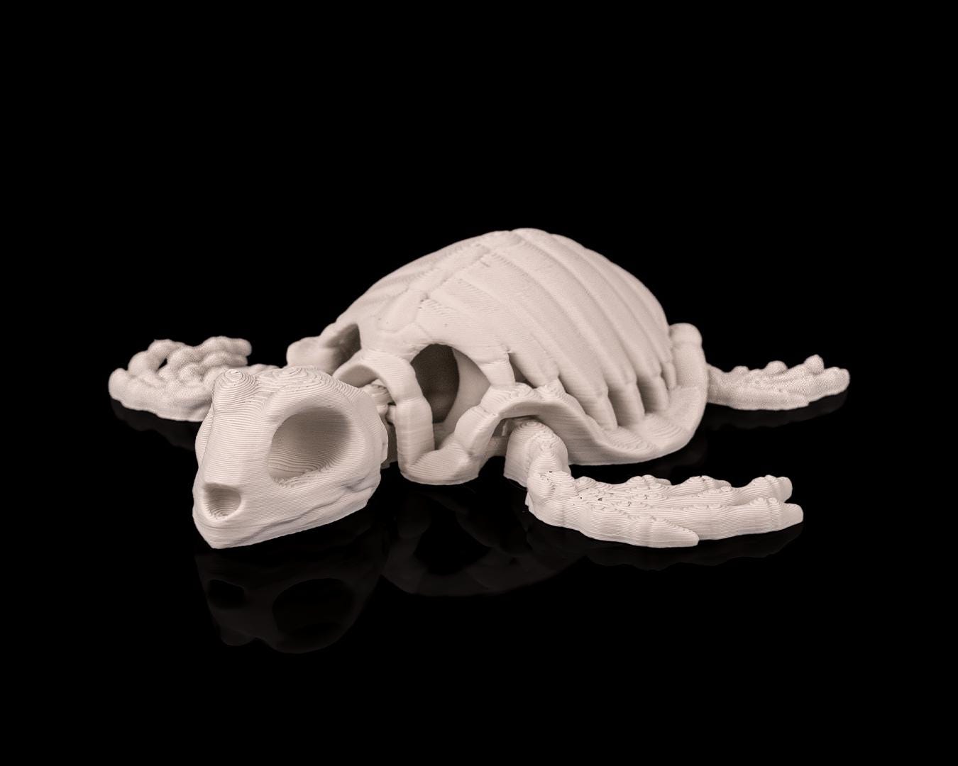 Articulated Skeleton Turtle – 3D Printed PLA Fidget Toy, Display