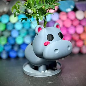 Könnte beinhalten: Ein grauer Keramik-Nilpferd-Pflanztopf mit rosa Wangen und schwarzen Augen. Eine kleine grüne Pflanze wächst aus der Oberseite des Topfes.