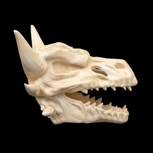 Puede incluir: Una m&aacute;scara de calavera de drag&oacute;n blanquecina con dientes y cuernos afilados. La m&aacute;scara est&aacute; esculpida con detalles intrincados, mostrando la estructura &oacute;sea de la cabeza del drag&oacute;n. La m&aacute;scara est&aacute; sobre un fondo negro.