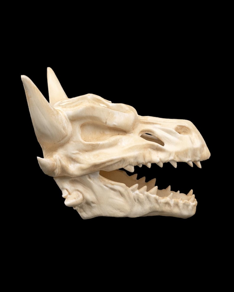 Puede incluir: Una m&aacute;scara de calavera de drag&oacute;n blanquecina con dientes y cuernos afilados. La m&aacute;scara est&aacute; esculpida con detalles intrincados, mostrando la estructura &oacute;sea de la cabeza del drag&oacute;n. La m&aacute;scara est&aacute; sobre un fondo negro.