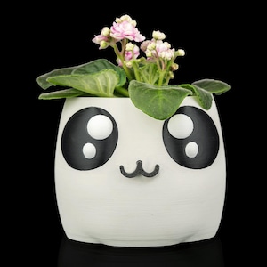 May include: A white ceramic plant pot with a panda face design, featuring large black eyes and a small black moustache. The pot contains a small flowering plant with green leaves and delicate pink flowers. The background is solid black.