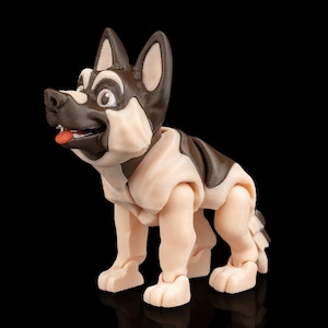 Meet Jerry the German Shepherd!