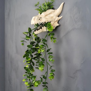 以下が含まれることがあります： クリーム色のドラゴンの頭蓋骨の壁掛けプランター。口と上部から緑の葉がこぼれ落ちています。 プランターは灰色の壁に取り付けられており、植物のユニークで装飾的なディスプレイを作成しています。