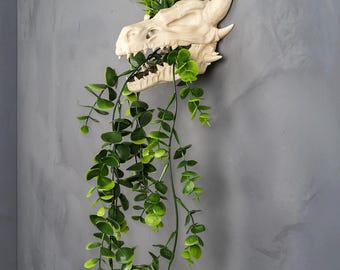 Drip & Decay – Dragon Skull Wall Planter Where Nature Meets the End of Magic