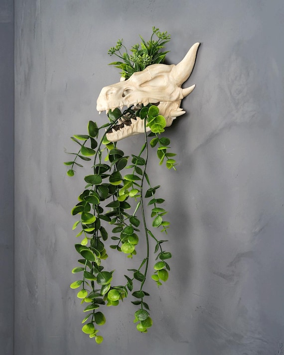 Drip & Decay – Dragon Skull Wall Planter Where Nature Meets the End of Magic