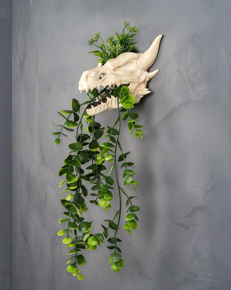 Puede incluir: Un macetero de pared con forma de cr&aacute;neo de drag&oacute;n de color crema con follaje verde que sale de la boca y la parte superior. El macetero est&aacute; montado en una pared gris, creando una exhibici&oacute;n &uacute;nica y decorativa para plantas.