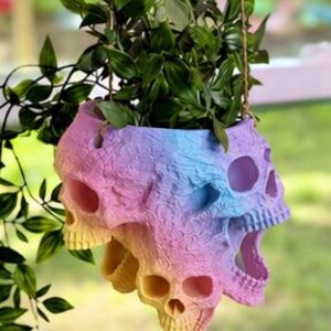 May include: A hanging planter shaped like a cluster of skulls with a textured surface and a gradient color scheme transitioning from yellow to pink, blue, and purple. A green leafy plant grows out of the top of the skull-shaped container.