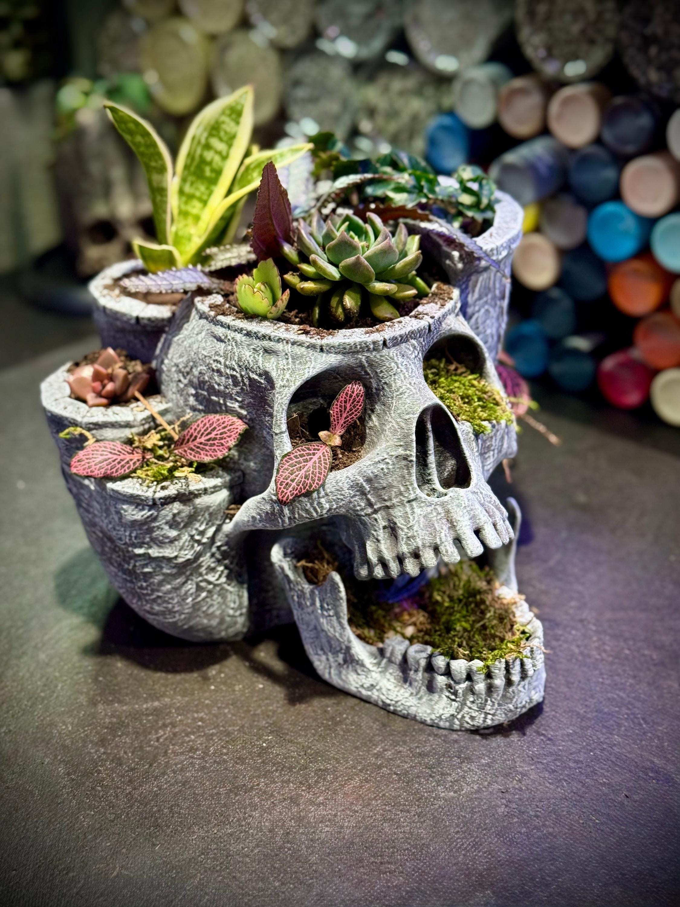 Large Skull Garden Planter - Etsy