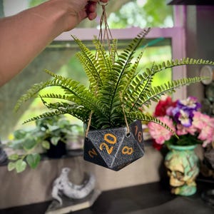 May include: A hanging planter shaped like a twenty-sided die, with gold numbers on a dark gray surface. The planter holds a vibrant green fern. The planter is suspended by twine. Other plants and a skull-shaped vase are visible in the background.