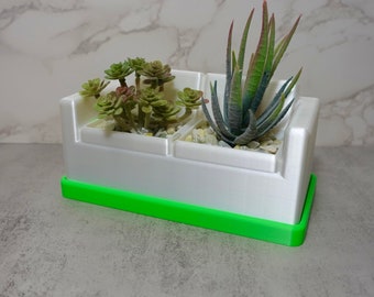 May include: White planter with a green base, divided into three sections. Two sections contain small green succulents, and the third section contains a larger green succulent with red tips.
