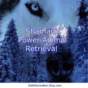 Shamanic Power Animal Retrieval, Shaman Journey Ceremony, Spirit Animal Energy Session by Deb Starwalker