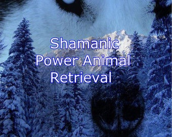 Shamanic Power Animal Retrieval, Shaman Journey Ceremony, Spirit Animal Energy Session by Deb Starwalker