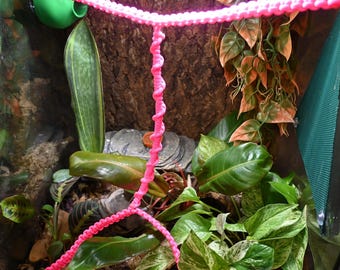 Reptile Paracord Vine System for 18x18x24 Terrarium / Vivarium, Arboreal climbing Enrichment, Hand-crafted / Made in the USA
