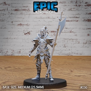 May include: A gray plastic miniature figurine of an elf warrior wearing armor and holding a spear. The miniature is standing on a black base. The base is labeled "BASE SIZE: MEDIUM (25.5MM)" and "#030".