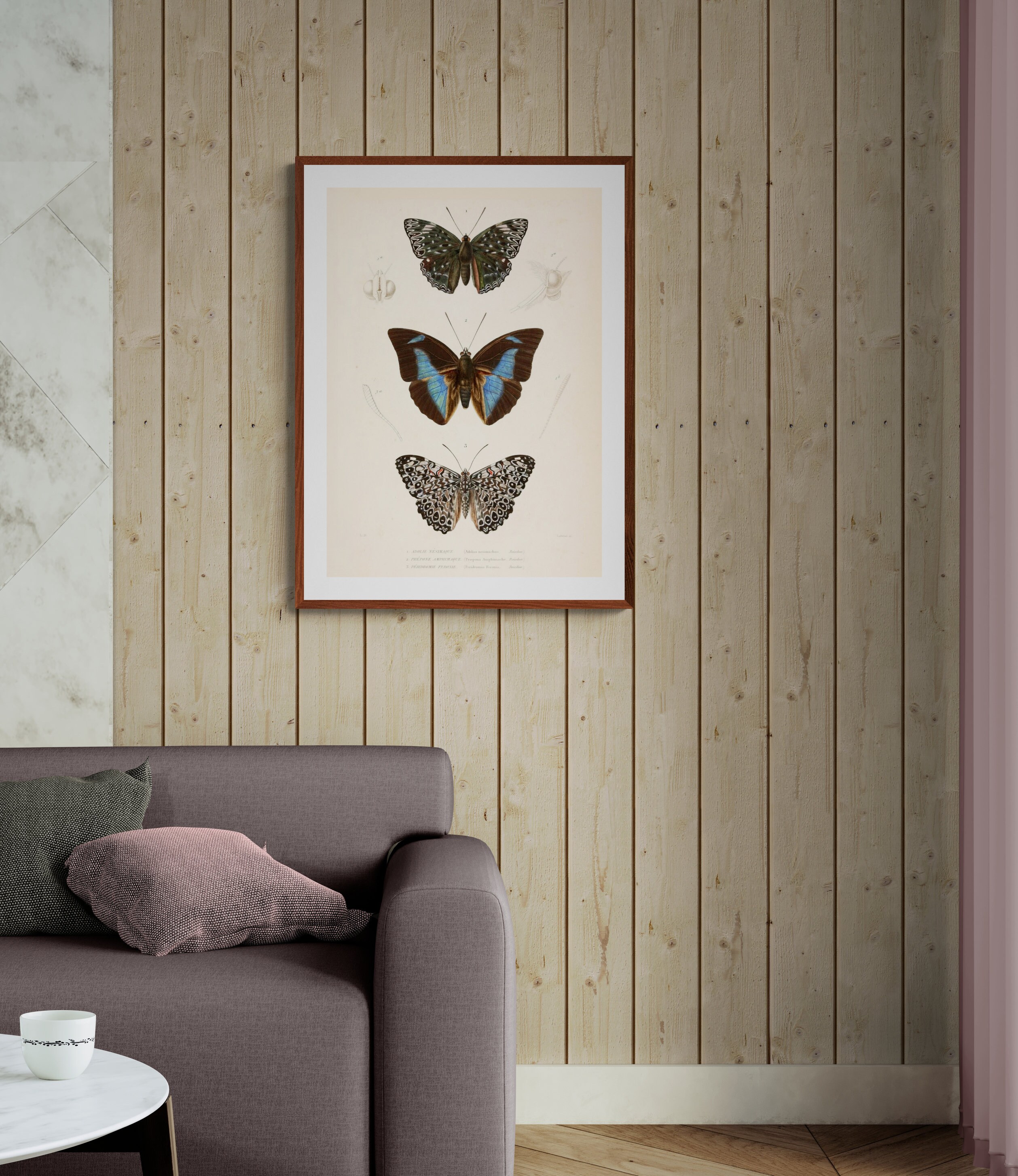 Antique Butterfly Drawing, Vintage Butterfly Print, Digital Download ...