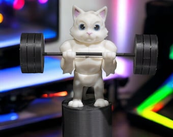 Bodybuilder Cat Fidget Toy: Funny Desk Accessory & Stress Relief Gift