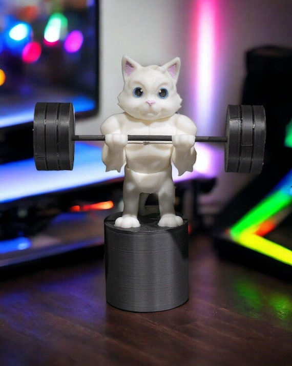 Cat Lifting Weights - Cat Stress Relief Weights With Adjustable Band