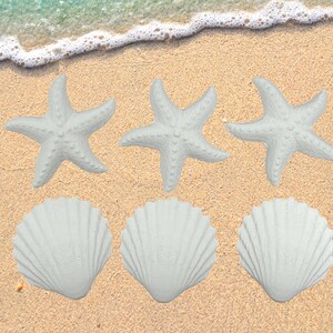 May include: Three white starfish and three white scallop shells are arranged on a sandy beach. The starfish have five points and a textured surface. The shells have a fan-like shape with ridged details.