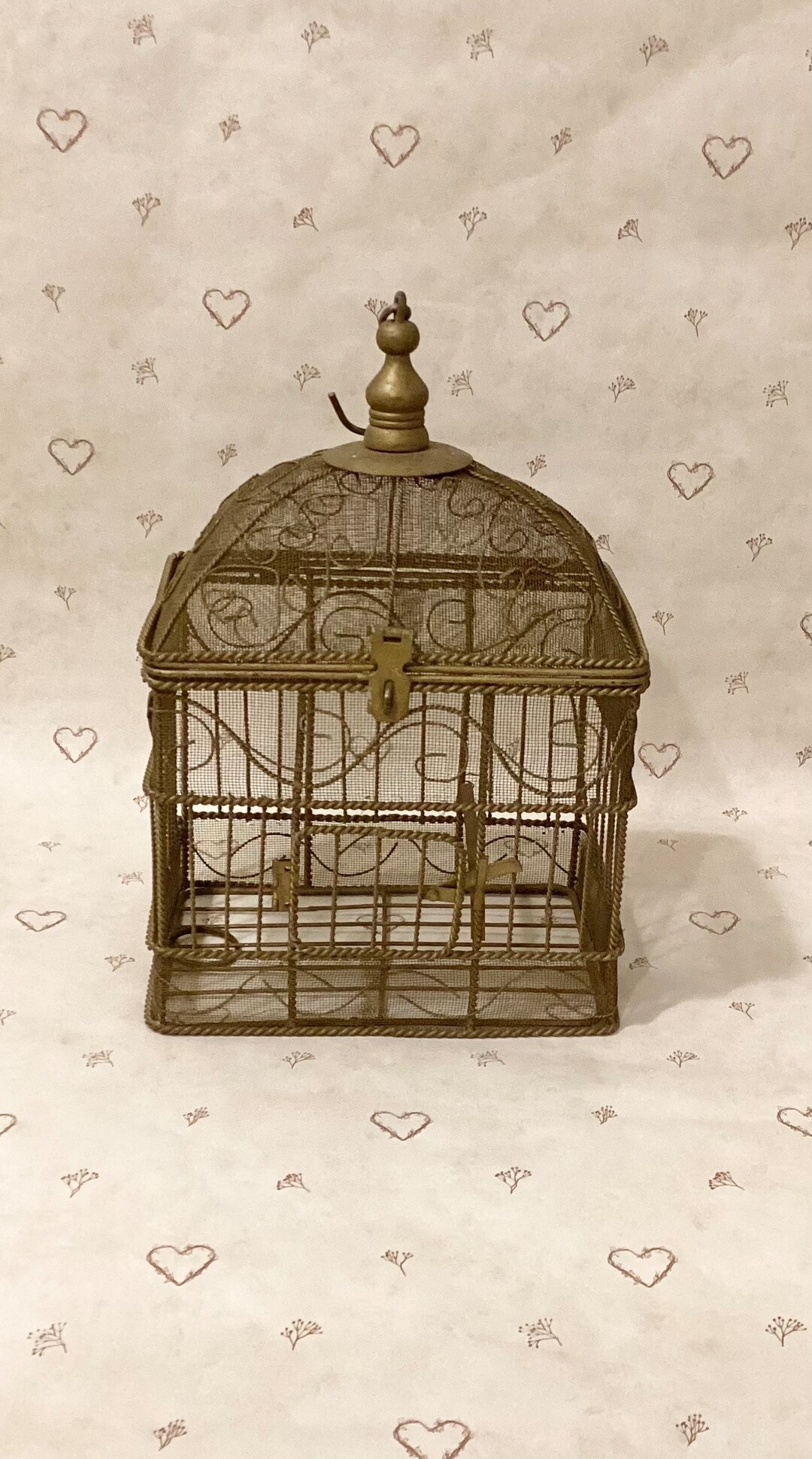 Photo inspiration: Visual Reference: Vintage Mesh Wire Hanging Rustic Gold Tone Decorative Bird Cage