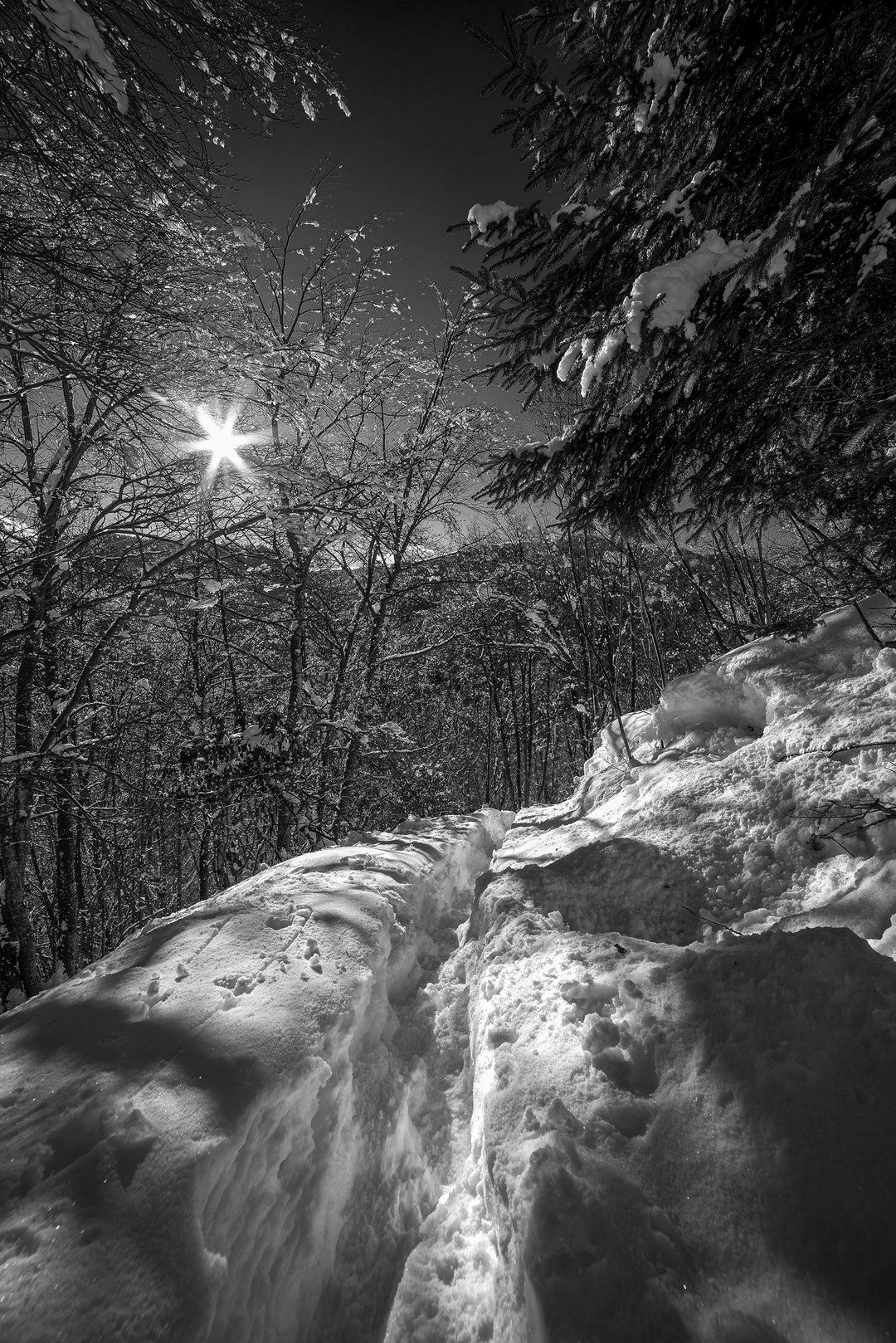 Streets in the Photo of a Path Traced in the Nature