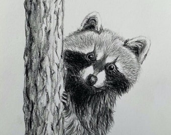 Bandit - an original 5x7 charcoal drawing by Cindy Vaughan.  Raccoon drawing sold unframed. Cabin, farmhouse decor. Not a print.