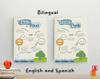 Bilingual Educational Poster of the Water Cycle in Spanish and English, Downloadable Teaching Material, Bilingual Education, Classroom Decoration