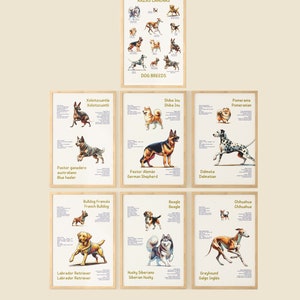 Set of Bilingual Educational Posters of Dog Breeds, Learn and Decorate, Learning Spanish and English, Downloadable Dog Breeds