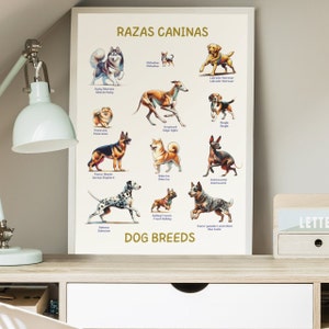 Bilingual Educational Dog Breed Posters, Dog Breed Posters, Classroom Decoration, Spanish and English Learning
