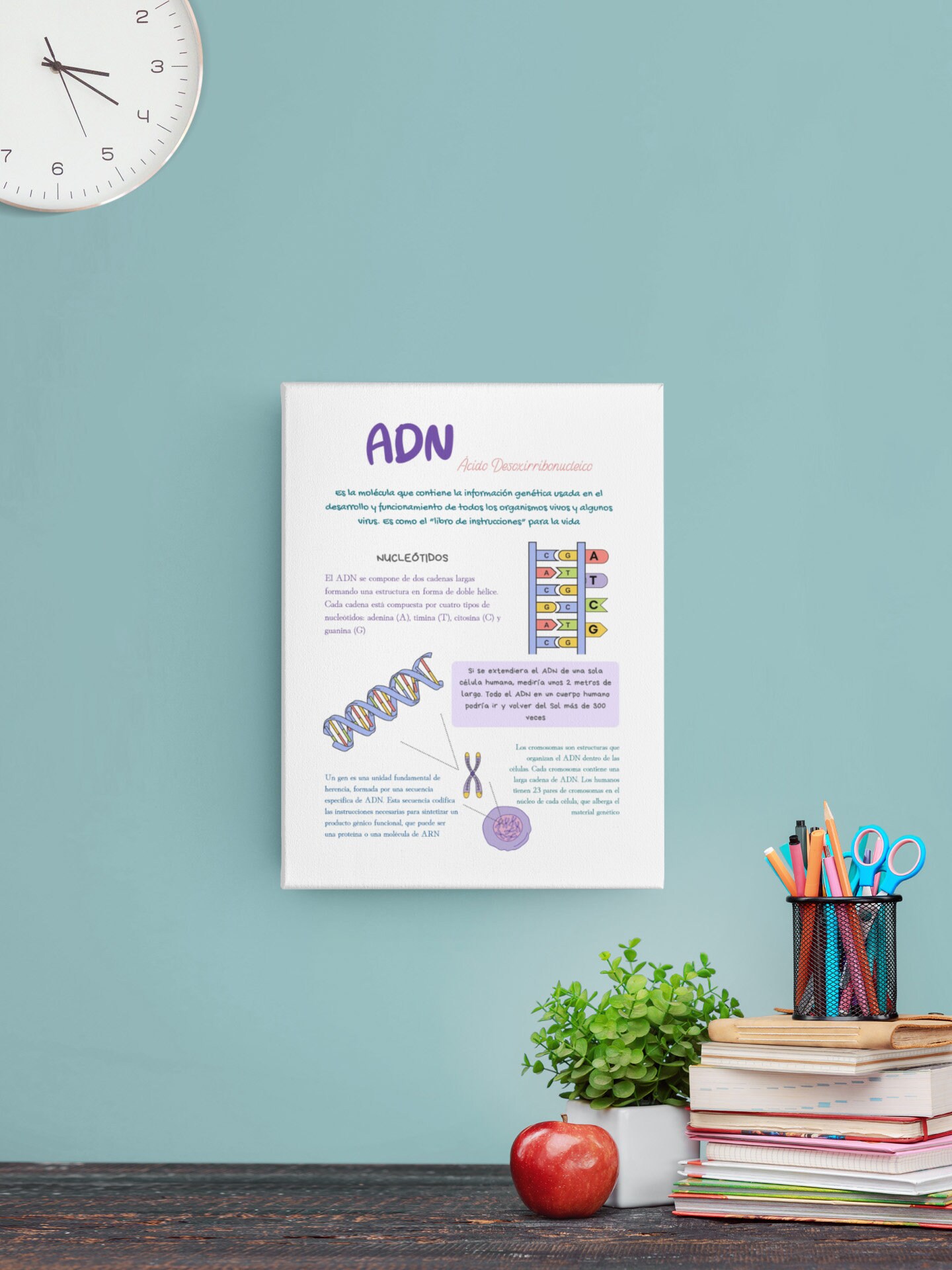 DNA Educational Poster in Spanish - Ideal for Bilingual Classrooms,  Download and Print, - Etsy, image size:1440x1920