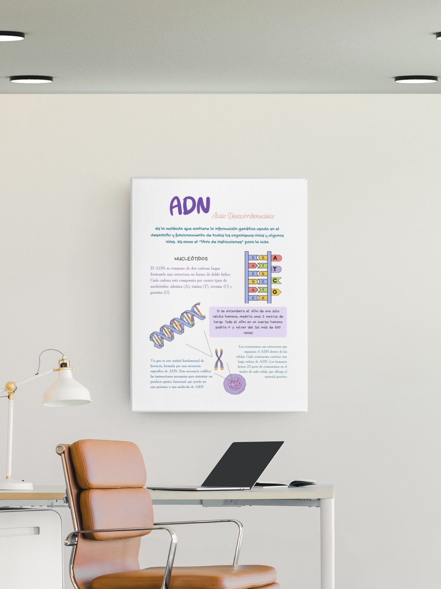 DNA Educational Poster in Spanish - Ideal for Bilingual Classrooms,  Download and Print, - Etsy, image size:1440x1920