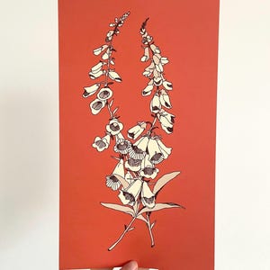 Artprint „Foxglove“ Illustration by Anikeru